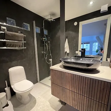 Апартаменты Moderni Ullakkohuoneisto Vuokralle Хельсинки